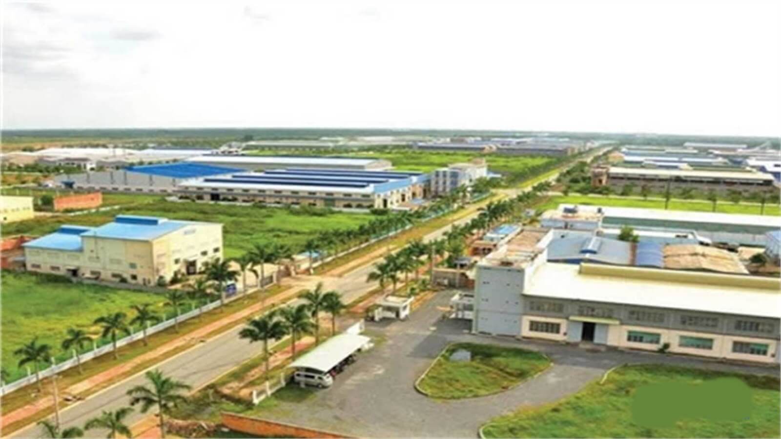 Cổ Chiên – IP图2